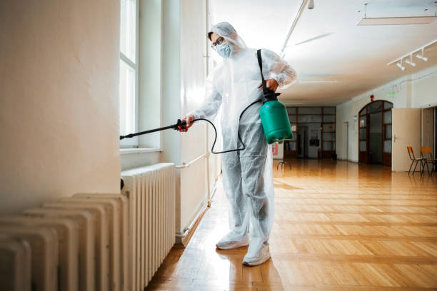 Real Estate Pest Inspections in Choccolocco, AL